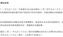 应届毕卓最新爆料,揭秘职场新人的真实生存状态
